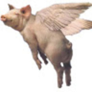 Meet your Posher, Pepe